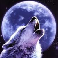 Calaméo - Loba Solitaria